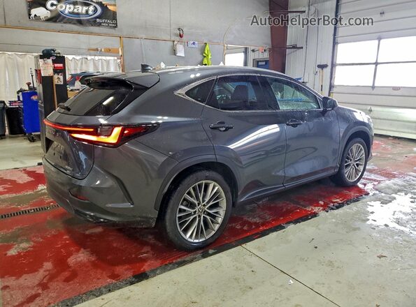 2T2HGCEZ1RC047608 2024 LEXUS NX Gray Tył prawy