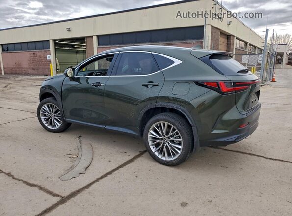 2T2HGCEZ3SC090840 2025 LEXUS NX Green უკანა მარცხენა
