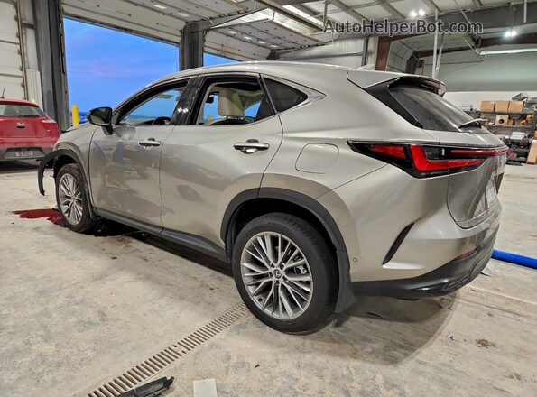 2T2HGCEZ7SC069683 2025 LEXUS NX Silver 