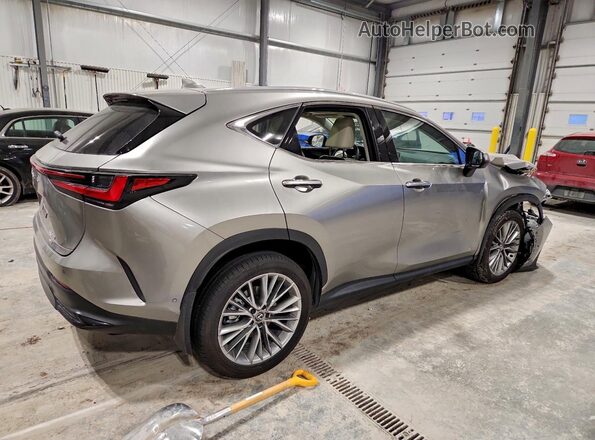 2T2HGCEZ7SC069683 2025 LEXUS NX Silver 