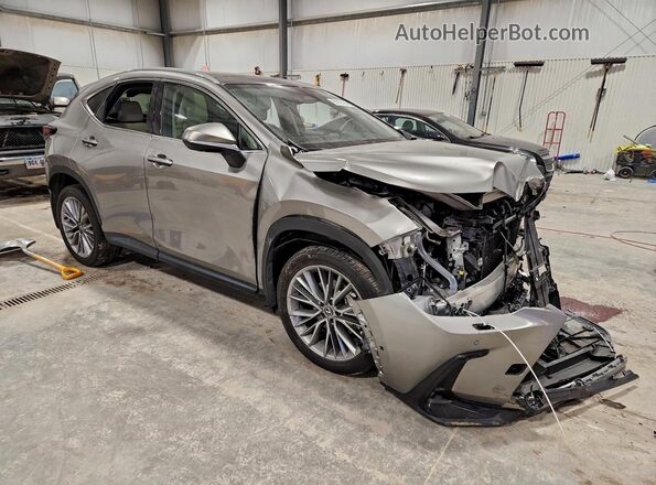 2T2HGCEZ7SC069683 2025 LEXUS NX Silver 