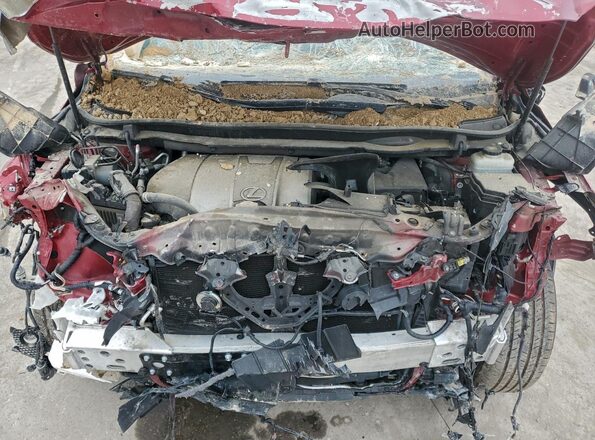 2T2HZMDA7MC304369 2021 LEXUS RX Burgundy 