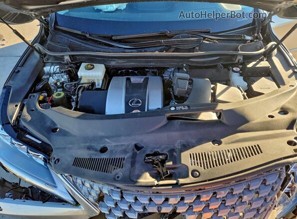 2T2JGMDA4MC062535 2021 LEXUS RX Gray Սալոնի հետևի տեսք