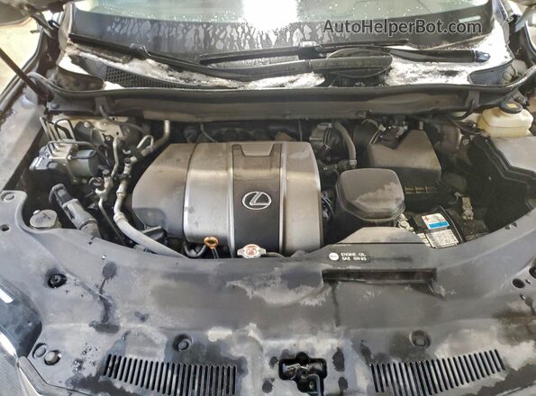 2T2JZMDA2LC233596 2020 LEXUS RX Beige Շարժիչի բաժամունքի տեսք