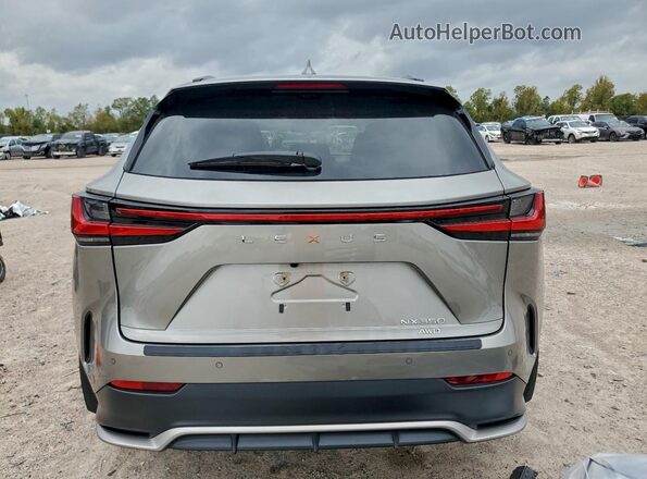 2T2KGCEZ4RC058785 2024 LEXUS NX Silver უკანა ხედი