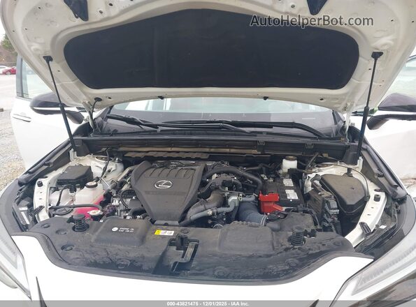 2T2KGCEZ5RC039369 2024 LEXUS NX 350 White Vista trasera