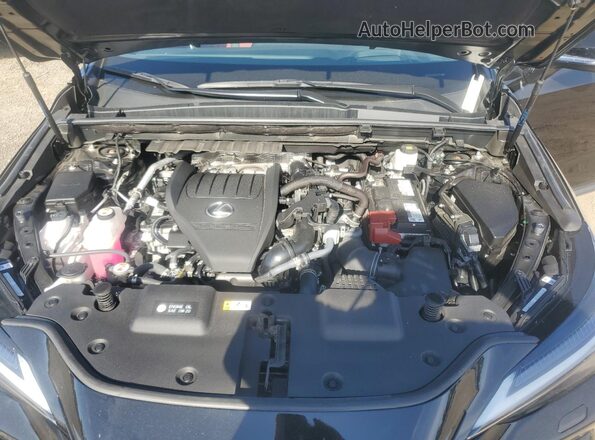 2T2KGCEZXSC068940 2025 LEXUS NX Black Vista del compartimento del motor