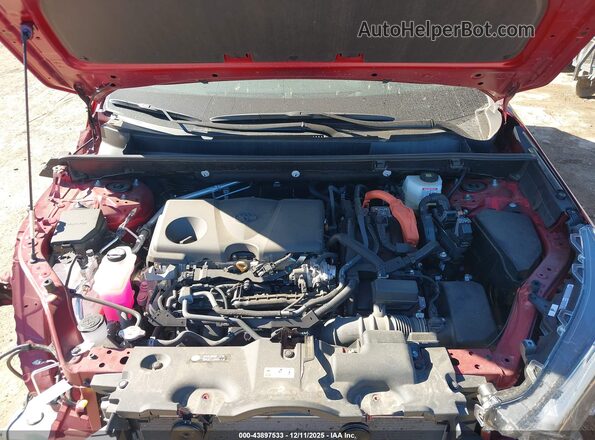 2T3D6RFV0RW082411 2024 TOYOTA LIMITED Red Widok z tyłu
