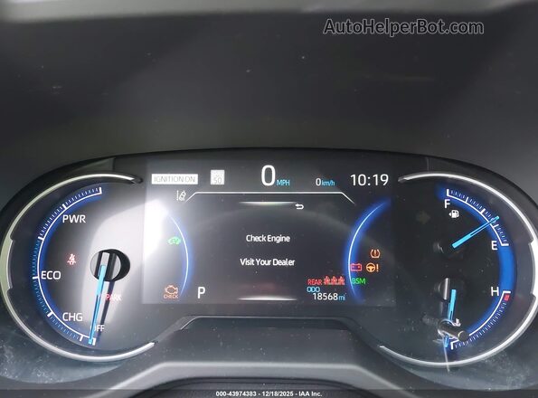 2T3E6RFV1RW070420 2024 TOYOTA RAV4 HYBRID Белый Вид задних сидений