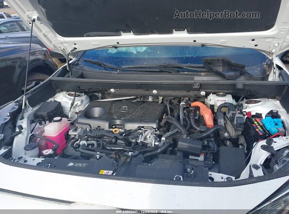 2T3EWRFV1LW081473 2020 TOYOTA RAV4 HYBRID White Հետևի տեսք