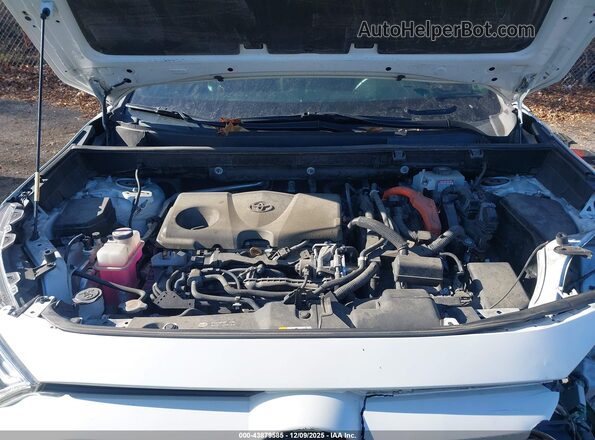 2T3EWRFV5KW041931 2019 TOYOTA RAV4 HYBRID White Вид ззаду