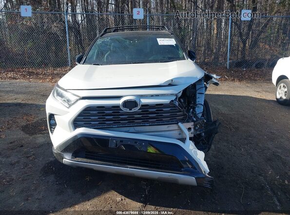 2T3EWRFV5KW041931 2019 TOYOTA RAV4 HYBRID White Вид щитка приладів