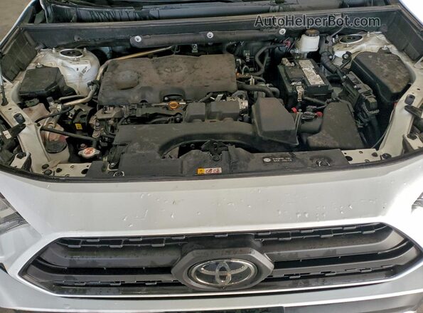 2T3J1RFVXRW464219 2024 TOYOTA RAV4 White Вид задньої частини салону