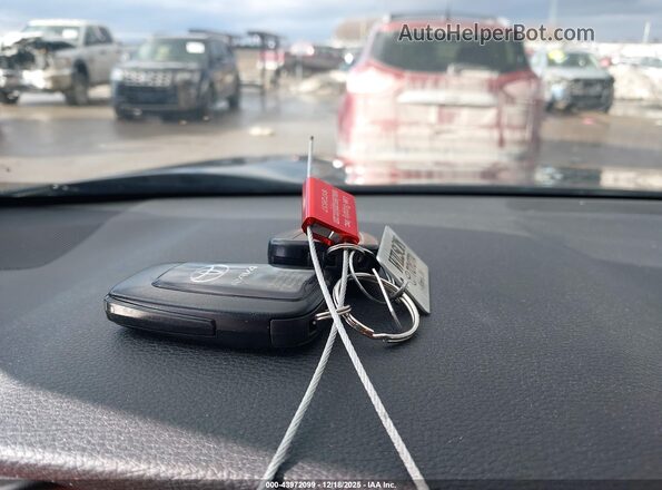 2T3N1RFV6LW105488 2020 TOYOTA LIMITED Серый Вид панели приборов