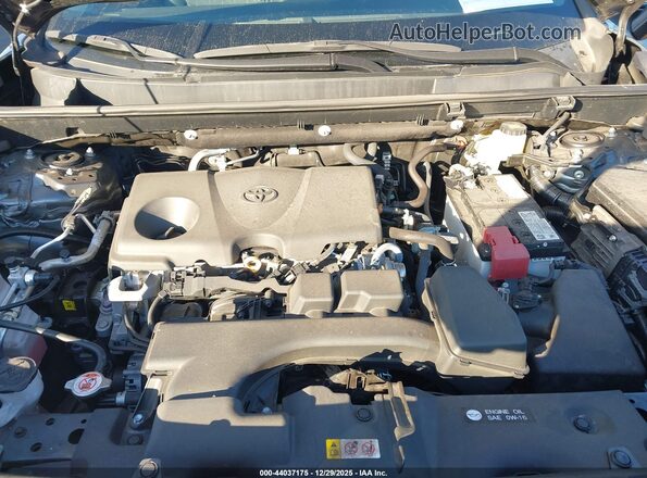 2T3W1RFV2PC227034 2023 TOYOTA LE Gray Widok z tyłu