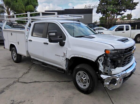1GB4WLE76RF206364 2024 CHEVROLET ALL MODELS White Задня ліва чверть