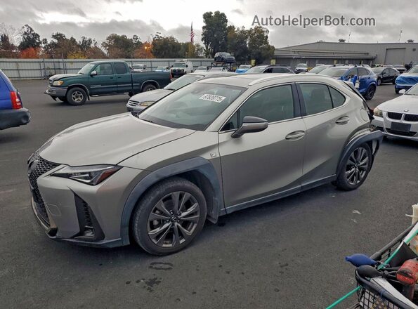 JTHY3JBH1K2000484 2019 LEXUS UX 200 Gray Задня ліва чверть
