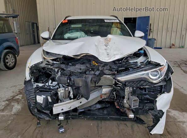ZASPAJAN5N7D28208 2022 ALFA ROMEO STELVIO Белый Вид сзади