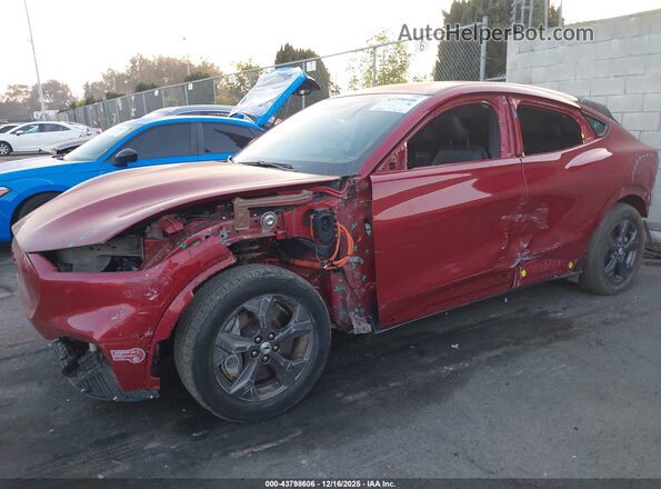 3FMTK1R45PMA66436 2023 FORD MUSTANG MACH-E Бордовый 