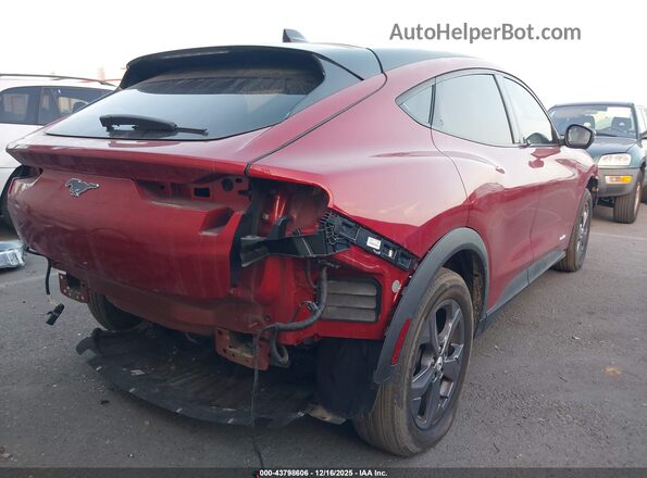 3FMTK1R45PMA66436 2023 FORD MUSTANG MACH-E Бордовый 