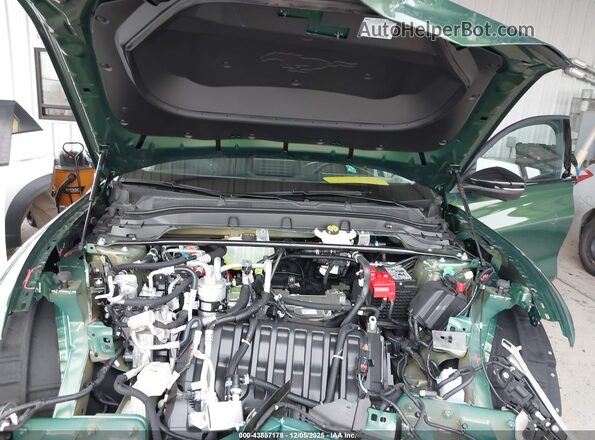 3FMTK1R45SMA55882 2025 FORD MUSTANG MACH-E Green Հետևի տեսք