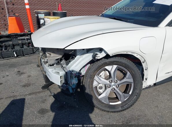 3FMTK1SS5PMA00851 2023 FORD MUSTANG MACH-E White Widok z przodu