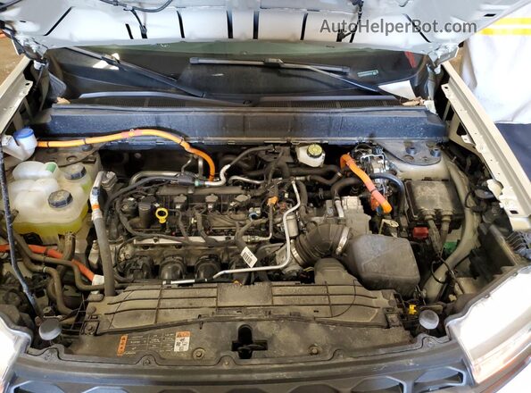 3FTTW8H33RRB28156 2024 FORD MAVERICK Tan Вид задньої частини салону