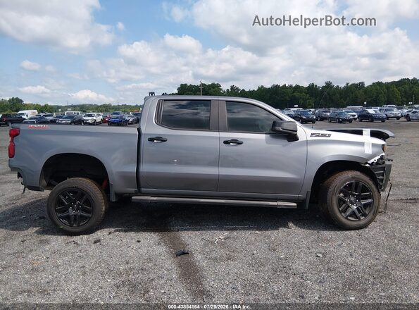 3GCPYFED6NG131863 2022 CHEVROLET SILVERADO Gray Սալոնի հետևի տեսք