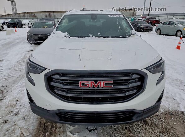 3GKALVEV6ML388698 2021 GMC TERRAIN White Widok z przodu