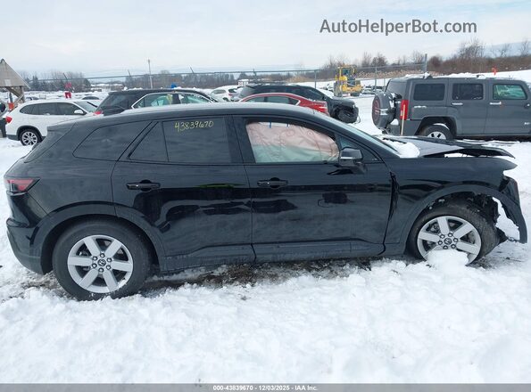 3GPKHVRJ3SS512419 2025 HONDA PROLOGUE Черный Вид задней части салона