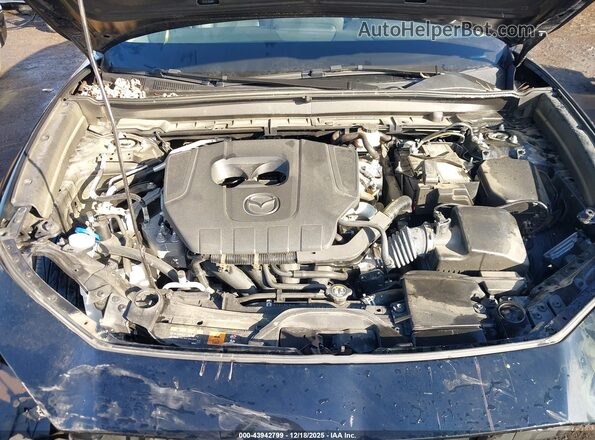 3MVDMBBM4PM509273 2023 MAZDA CX-30 Black Вид ззаду
