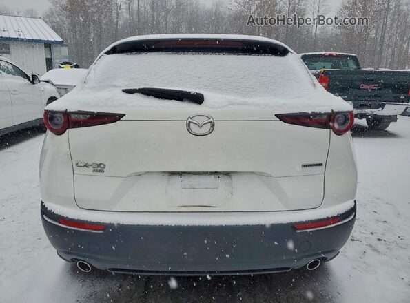 3MVDMBCL2MM210463 2021 MAZDA CX-30 White Rear view
