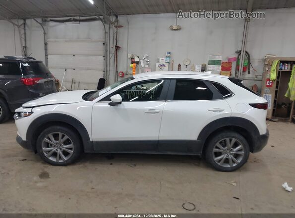 3MVDMBDL4LM122690 2020 MAZDA CX-30 White Widok wnętrza 360 stopni