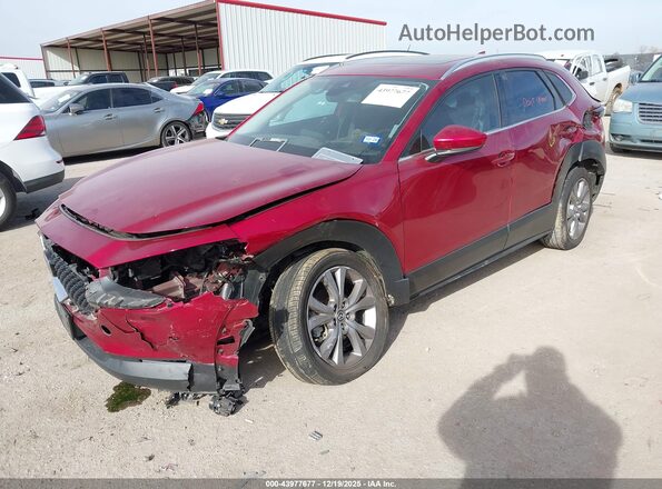 3MVDMBDL5MM309616 2021 MAZDA CX-30 White Przód lewy
