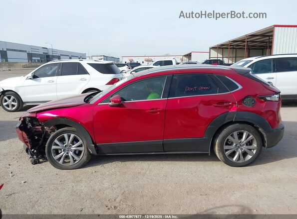 3MVDMBDL5MM309616 2021 MAZDA CX-30 White Widok wnętrza 360 stopni