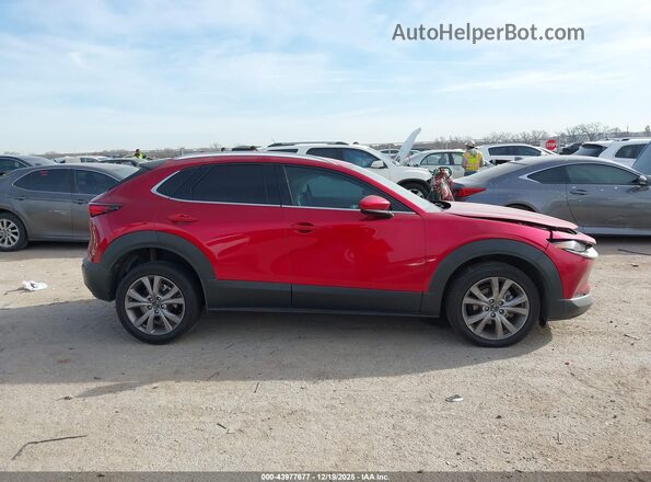 3MVDMBDL5MM309616 2021 MAZDA CX-30 White Widok wnętrza z tyłu