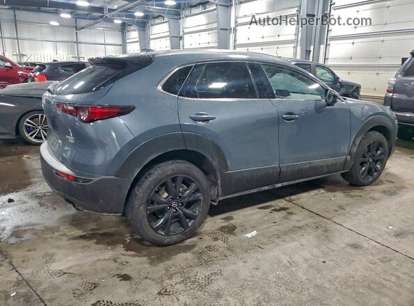 3MVDMBEY4MM306443 2021 MAZDA CX-30 Gray Հետևի աջ