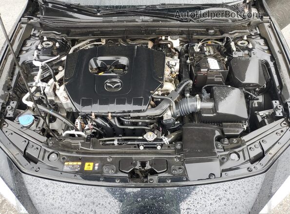 3MZBPACMXPM377237 2023 MAZDA 3 Черный Вид задней части салона