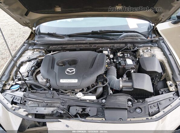 3MZBPBXY4RM400209 2024 MAZDA 3 Green Widok z tyłu