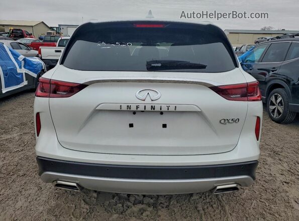 3PCAJ5BA8RF115223 2024 INFINITI QX50 White Вид ззаду