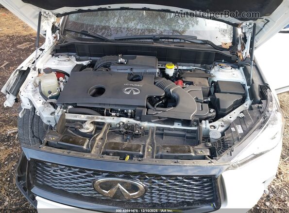 3PCAJ5BB1NF108200 2022 INFINITI QX50 White Вид ззаду