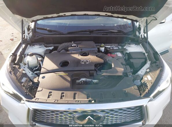 3PCAJ5CB7MF108134 2021 INFINITI QX50 White Հետևի տեսք