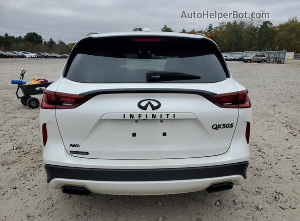 3PCAJ5FB3PF116117 2023 INFINITI QX50 White Հետևի տեսք