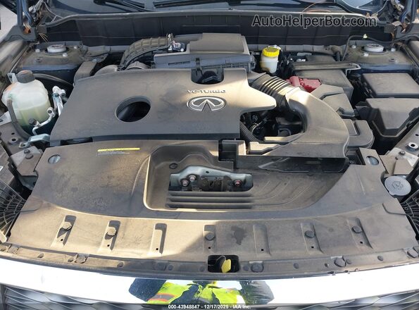 3PCAJ5JR4RF106431 2024 INFINITI QX55 Dark Blue Вид сзади