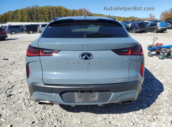 3PCAJ5LR8PF103672 2023 INFINITI QX55 Blue Vista trasera