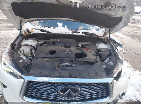 3PCAJ5M39LF105452 2020 INFINITI QX50 White Vista trasera