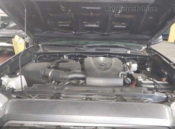 3TMBZ5DN3MM029657 2021 TOYOTA TACOMA Серый 