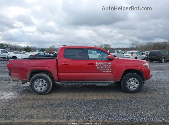 3TYAX5GN7NT058632 2022 TOYOTA TACOMA Красный Вид задней части салона