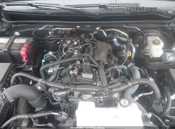 3TYKD5HN6RT011934 2024 TOYOTA TACOMA Серый Вид сзади