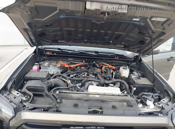 3TYLC5LN1ST024661 2025 TOYOTA TACOMA HYBRID Green უკანა ხედი